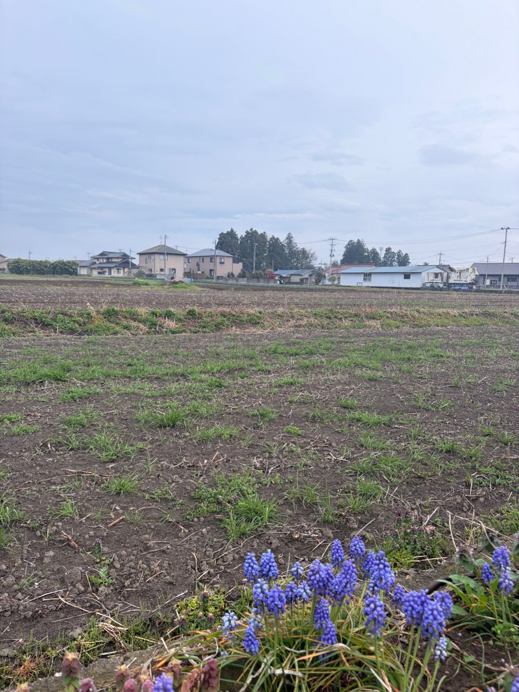 What real Japan feels like beyond tourist&nbsp;spots