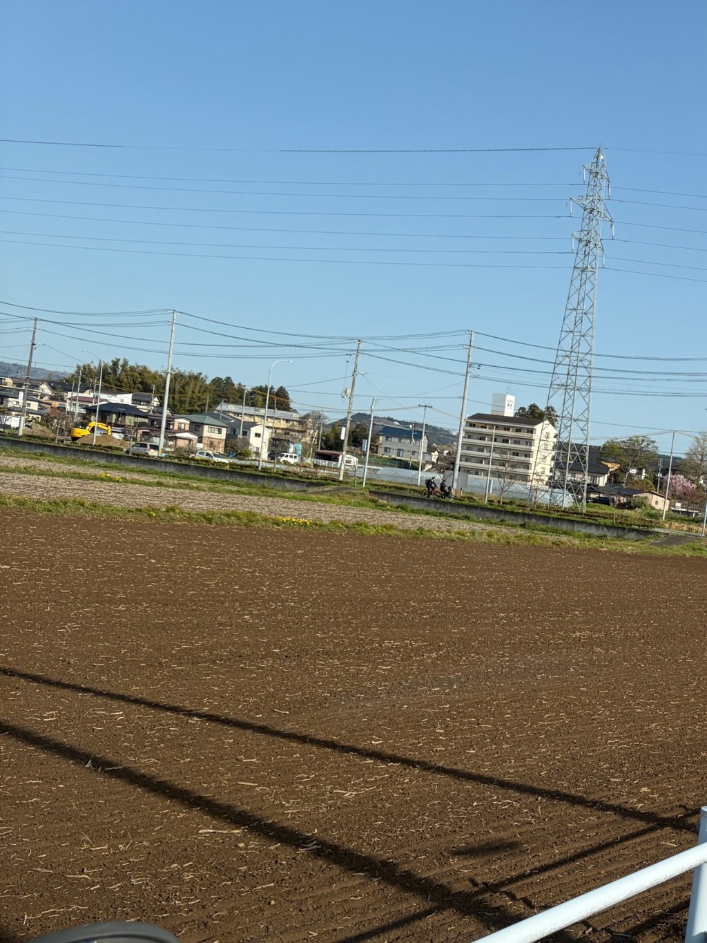 A Quiet Spring Morning in Miyagi | Empty Rice Fields Before the Rice&nbsp;Season
