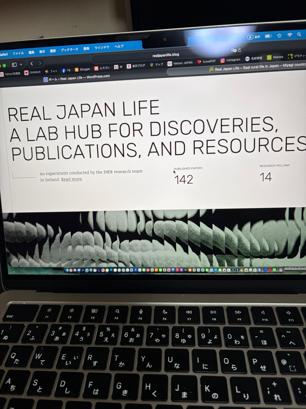 WordPressの表示設定で記事が出てこない？原因と解決方法を実体験で解説